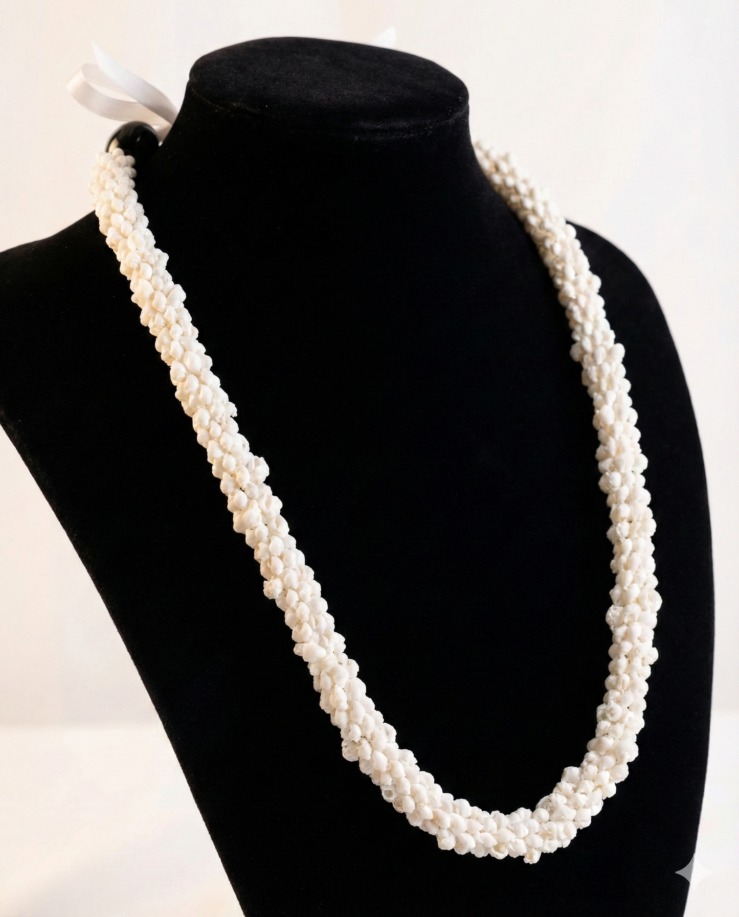 【レンタル】シェルのレイ