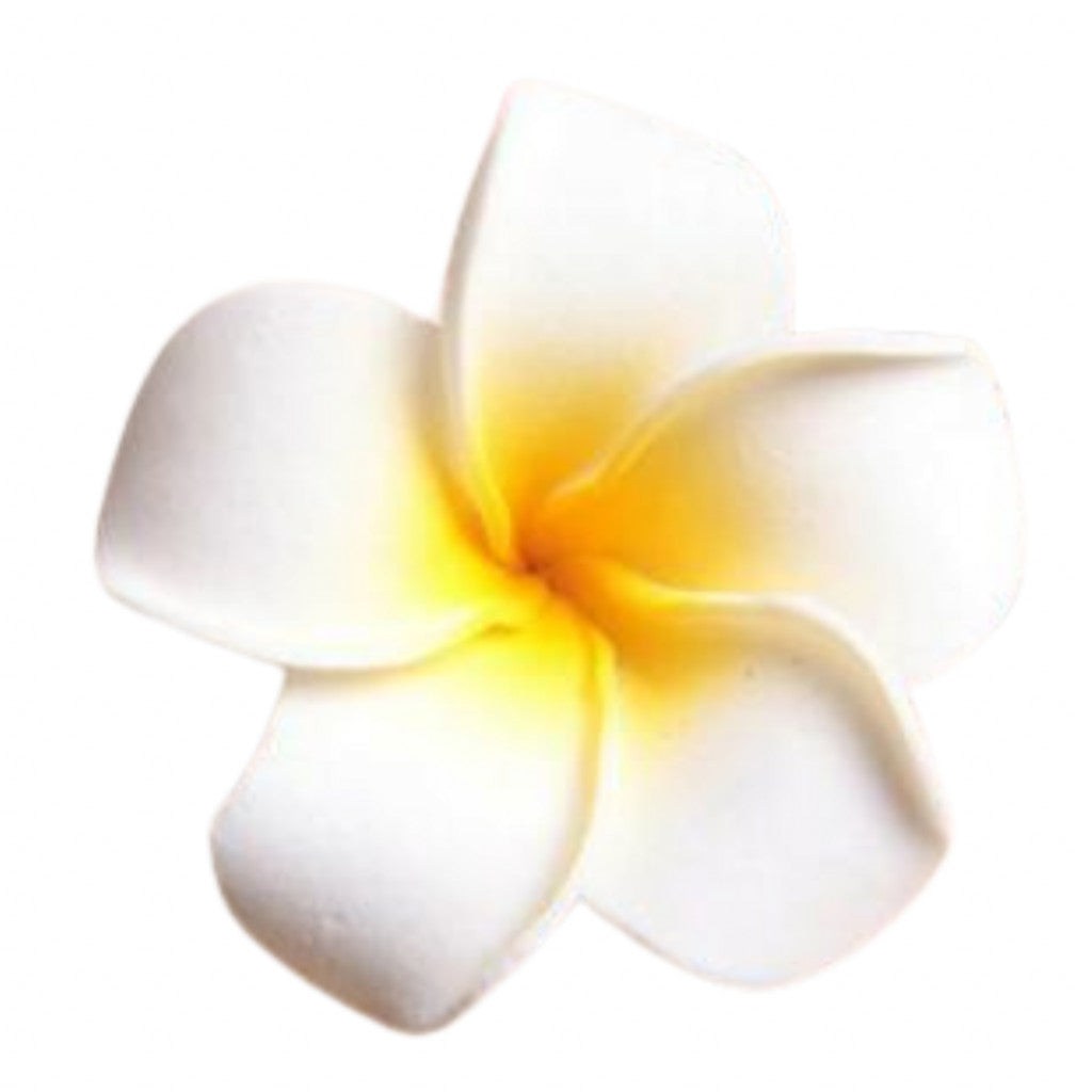 小物5点セットプラン (ナチュラル)※1名分のあんしん補償プラン含む