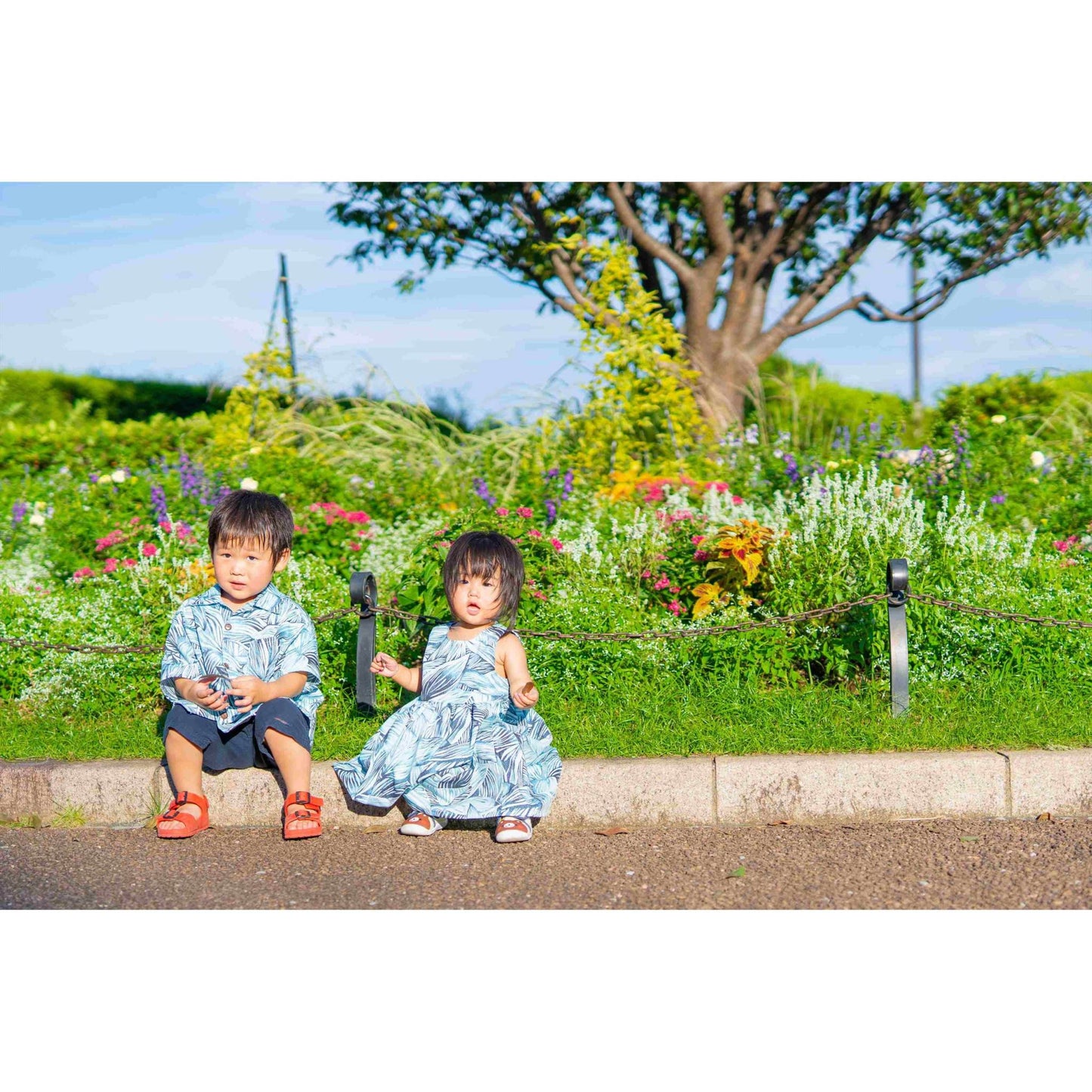 【レンタル】Leaf(リーフ)シリーズ キッズ用アロハシャツ