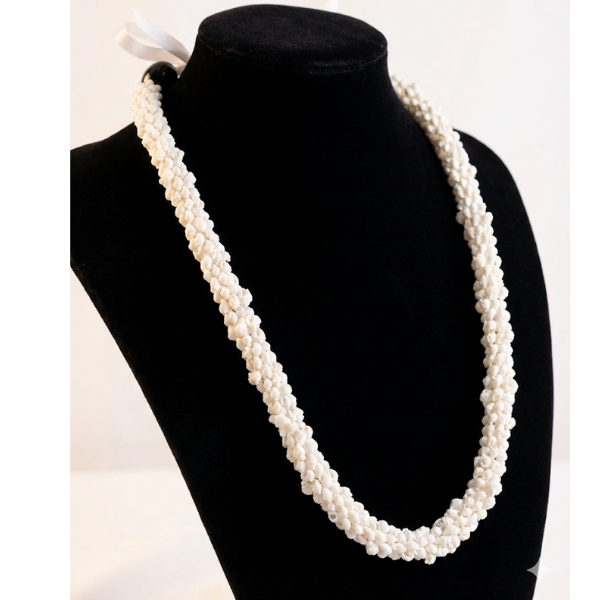 【レンタル】シェルのレイ